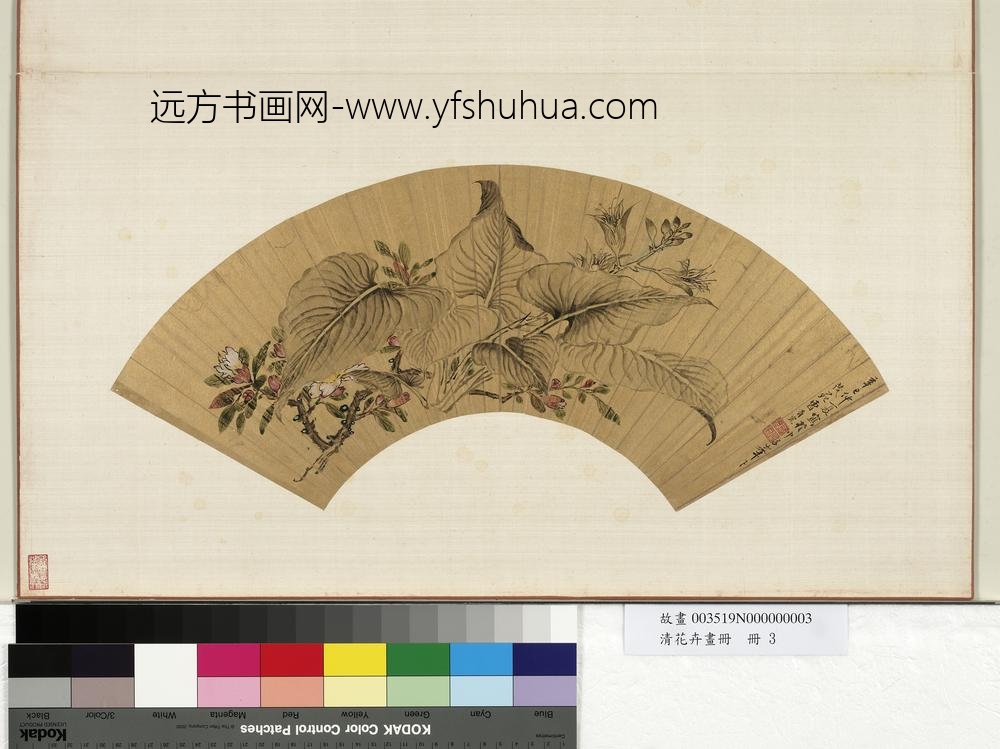 花卉画册册-清曹有光玉簪花