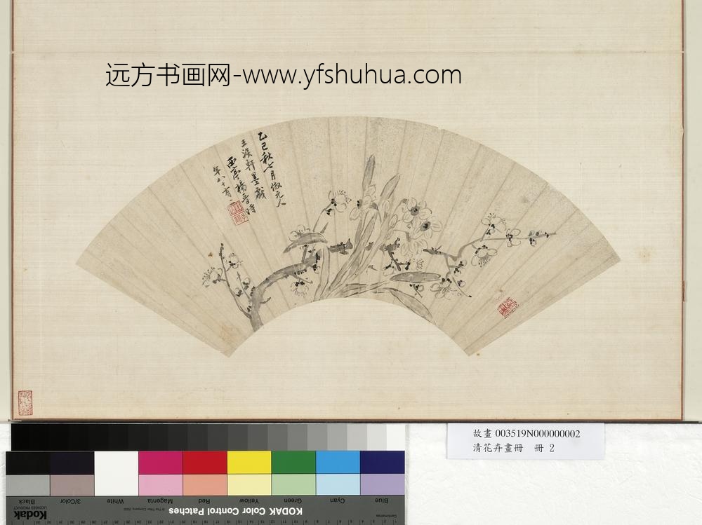 花卉画册册-清杨晋梅花水仙