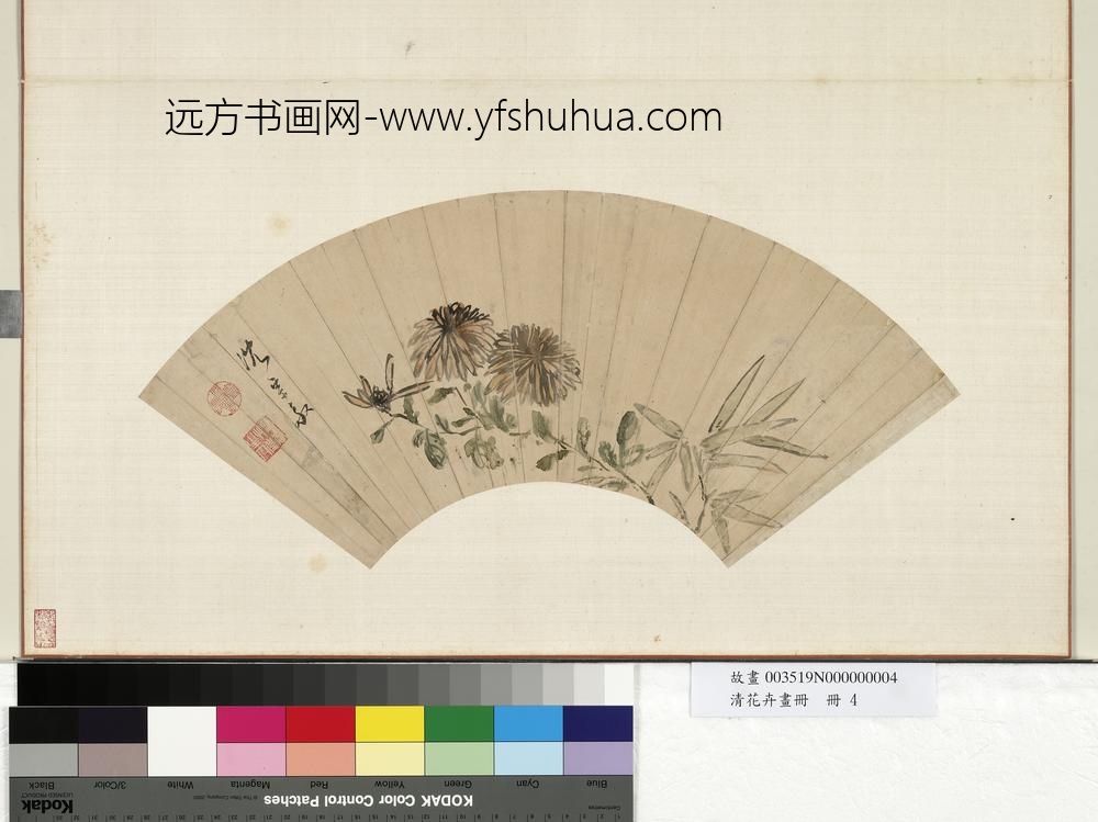 花卉画册册-清沈宗敬菊花