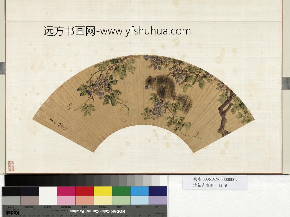 花卉画册册-清王子元葡萄松鼠