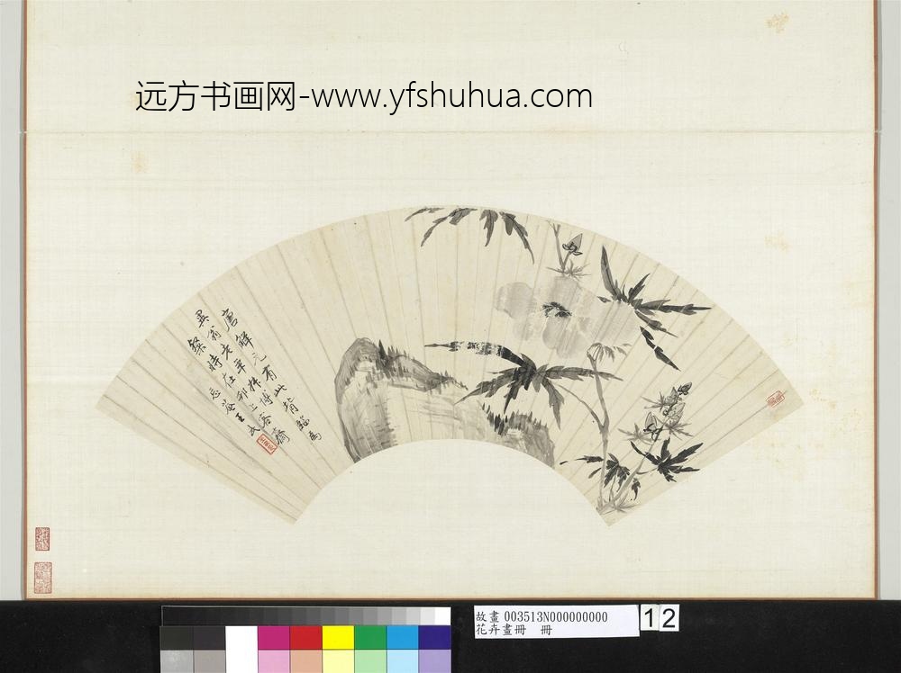 花卉画册册-清王武秋葵