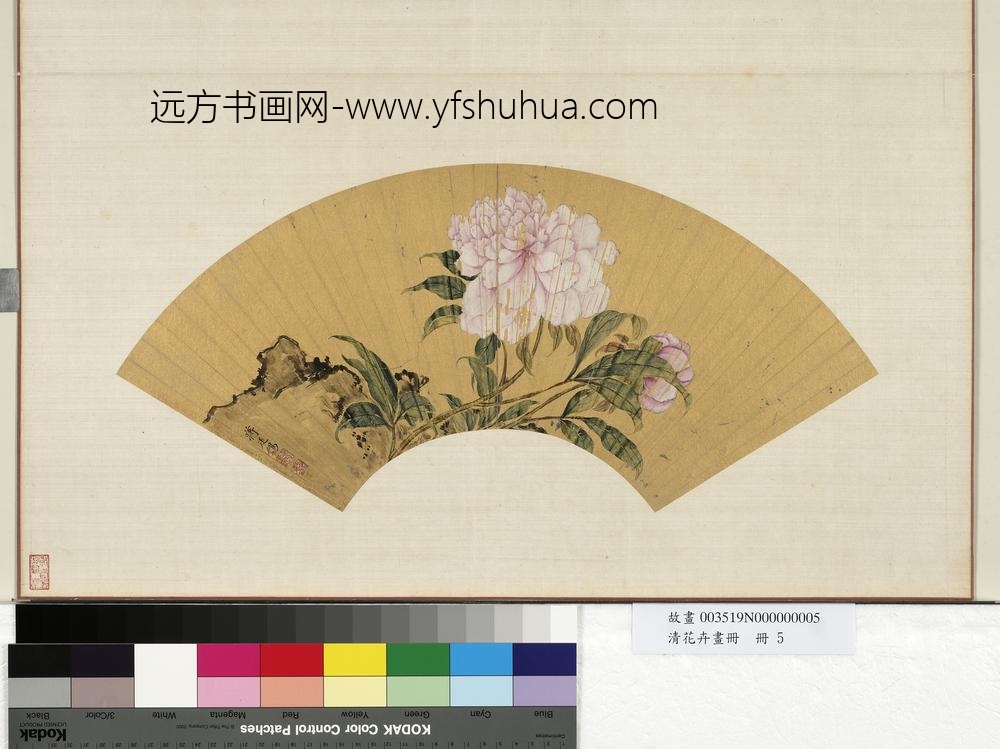 花卉画册册-清蒋廷锡芍药