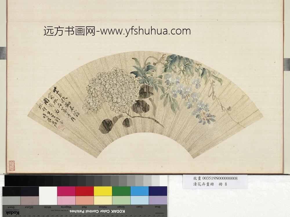 花卉画册册-清费丹旭紫藤绣球