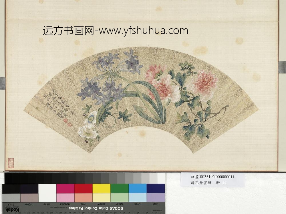 花卉画册册-清顾驺花卉
