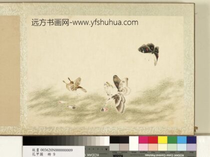 花甲图册 蝴蝶（九）.jpg