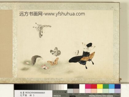 花甲图册 蝴蝶（五）.jpg