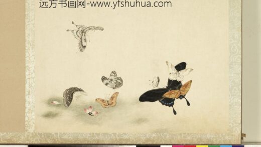 花甲图册 蝴蝶（五）.jpg