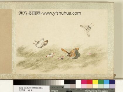 花甲图册 蝴蝶（六）.jpg