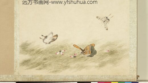 花甲图册 蝴蝶（六）.jpg