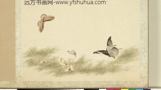 花甲图册 蝴蝶（十七）.jpg