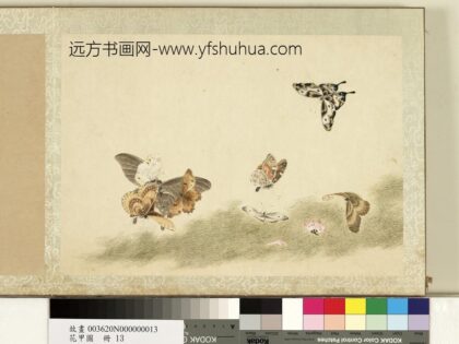 花甲图册 蝴蝶（十三）.jpg