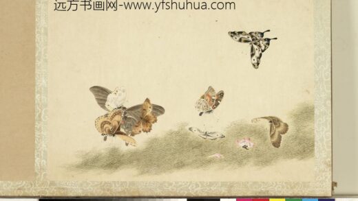 花甲图册 蝴蝶（十三）.jpg