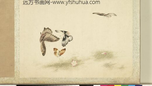 花甲图册 蝴蝶（十九）.jpg