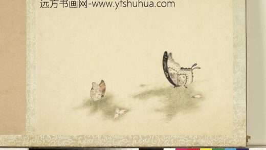 花甲图册 蝴蝶（十二）.jpg