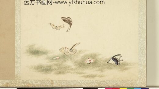 花甲图册 蝴蝶（十五）.jpg