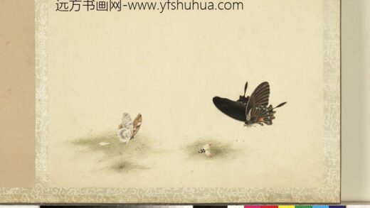 花甲图册 蝴蝶（十八）.jpg