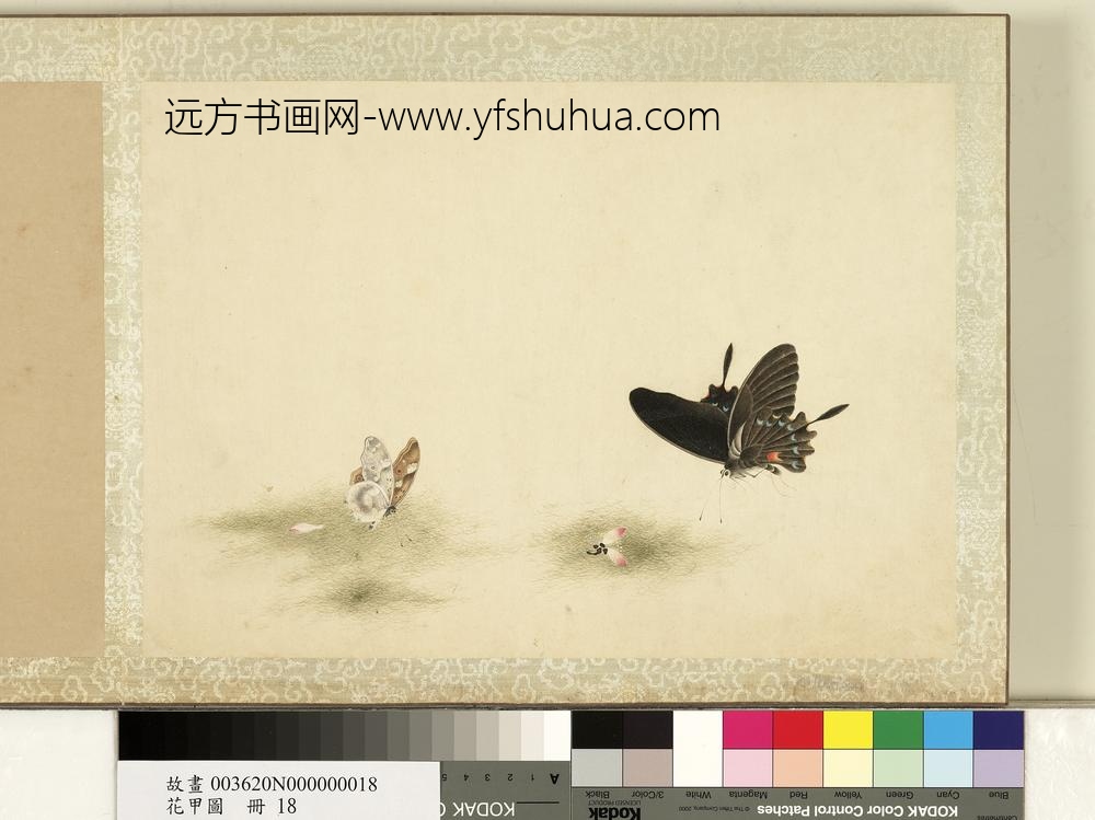 花甲图册-蝴蝶（十八）