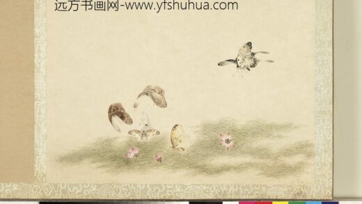 花甲图册 蝴蝶（十六）.jpg
