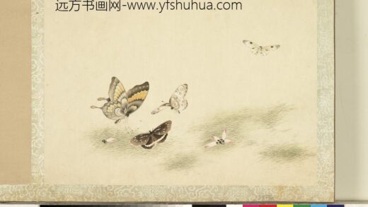 花甲图册 蝴蝶（十四）.jpg