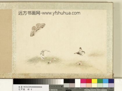 花甲图册 蝴蝶（四）.jpg