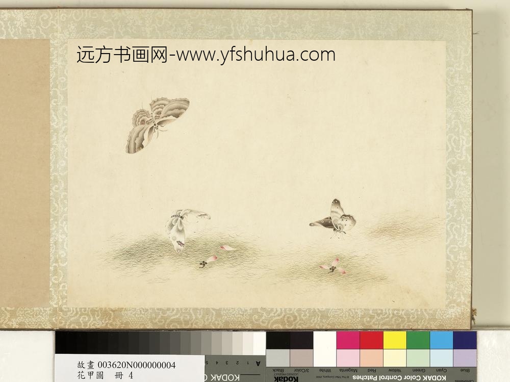 花甲图册-蝴蝶（四）