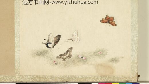 花甲图册 蝴蝶（廿三）.jpg