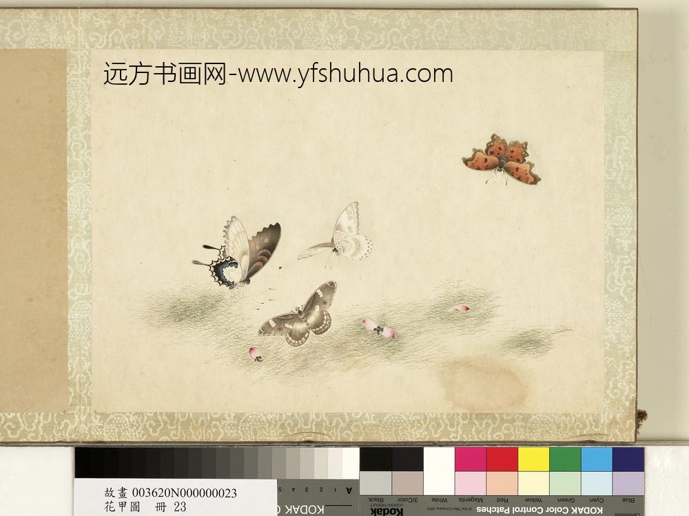 花甲图册-蝴蝶（廿三）