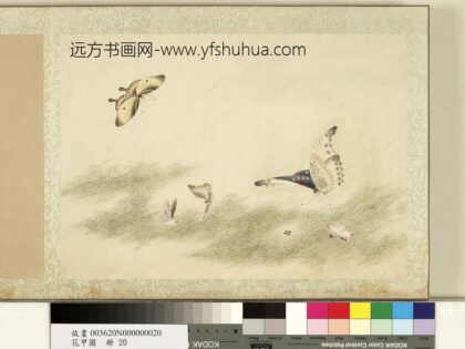 花甲图册 蝴蝶（廿）.jpg