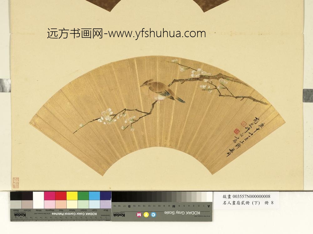 许永-名人画扇贰册(下)册-梅花翠羽