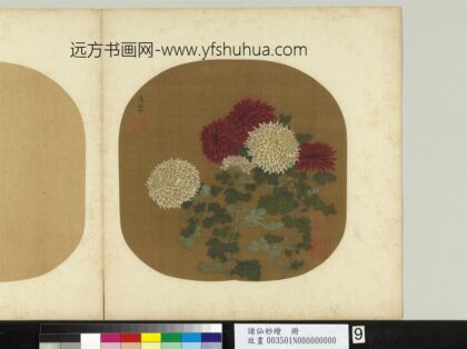 诸仙妙绘册 宋汤正仲画菊.jpg