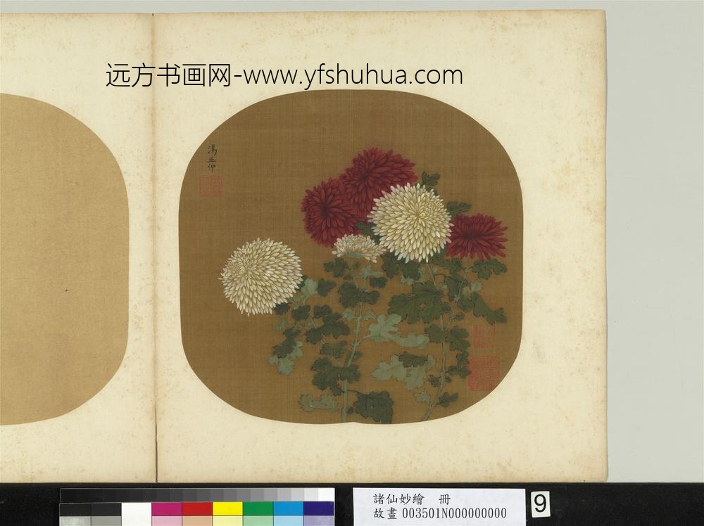 诸仙妙绘册-宋汤正仲画菊