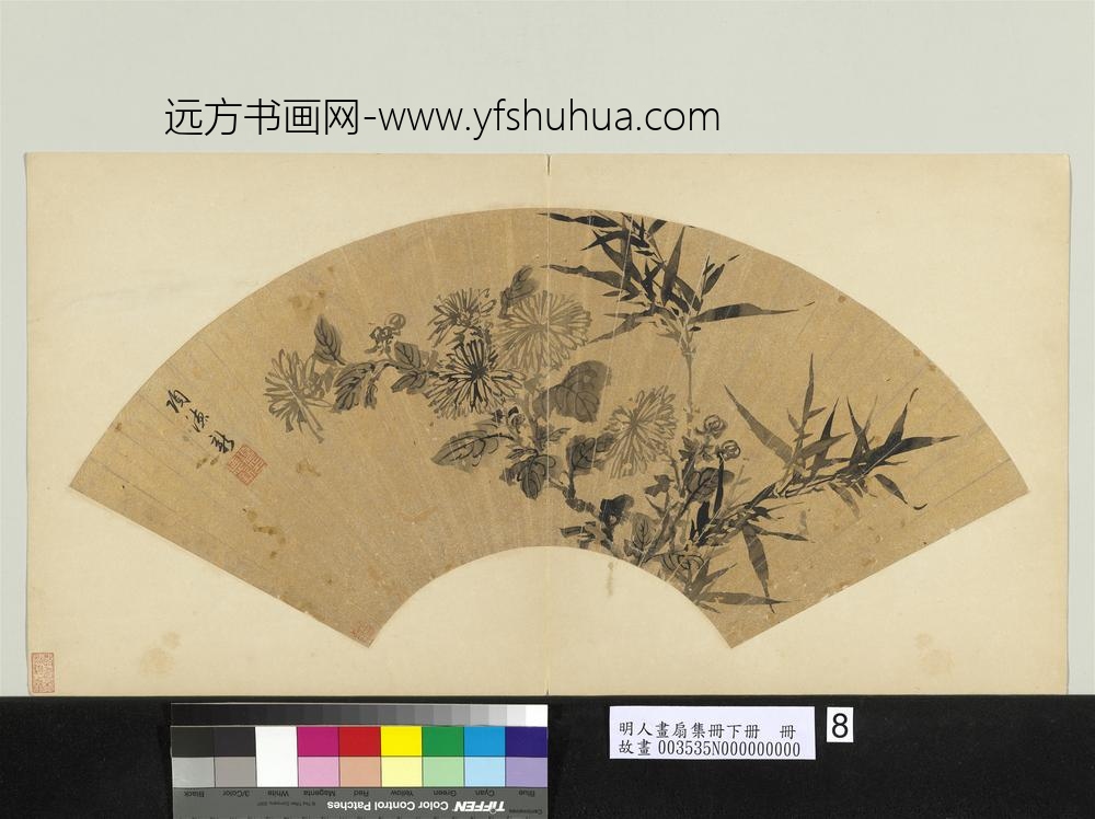 项德新-明人画扇集册贰册(下)册-竹菊