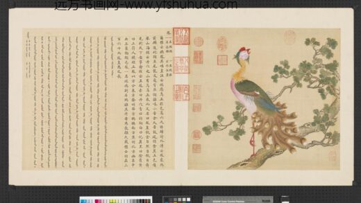 鸟谱（一）册凤.jpg