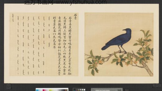 鸟谱（一）册石青.jpg