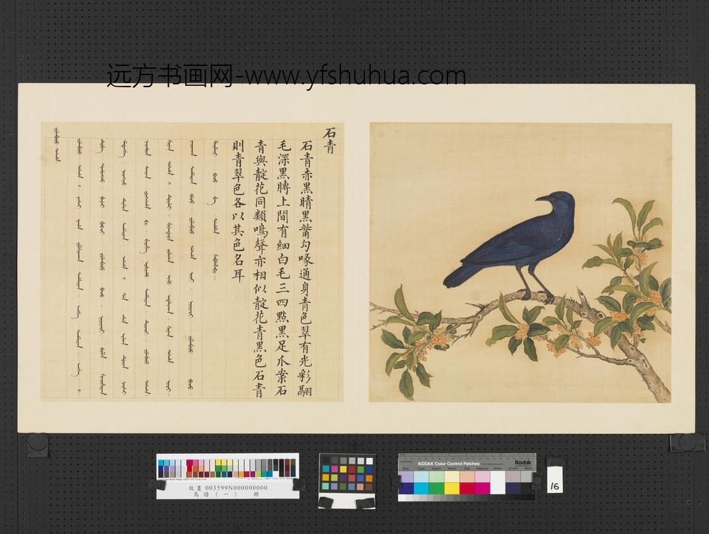 鸟谱（一）册石青