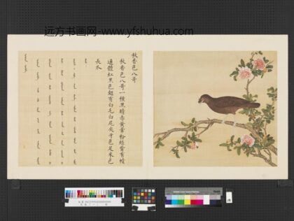 鸟谱（一）册秋香色八哥.jpg