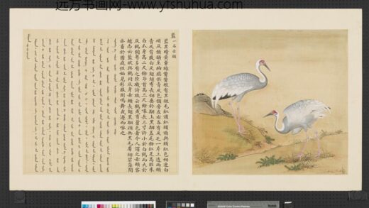 鸟谱（一）册蓝.jpg