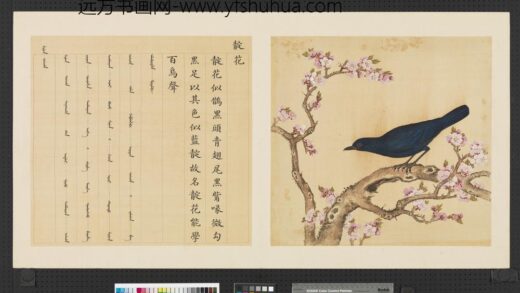 鸟谱（一）册靛花.jpg