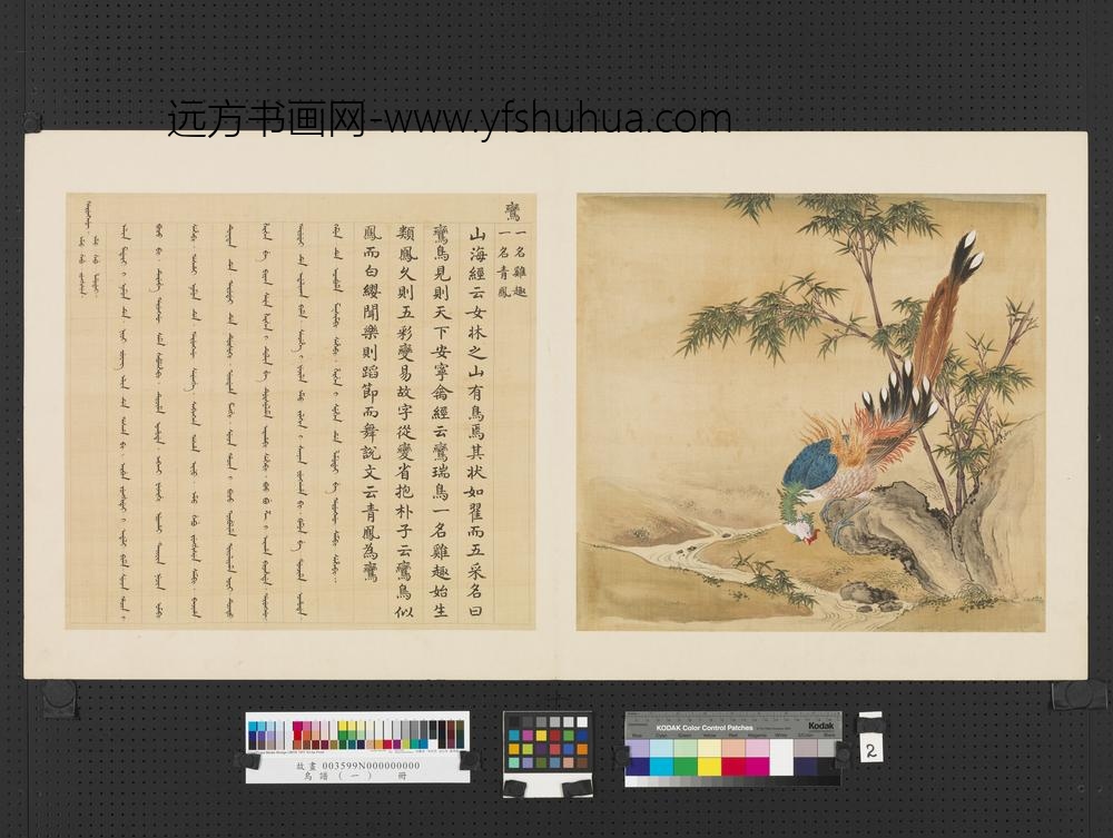 鸟谱（一）册鸾