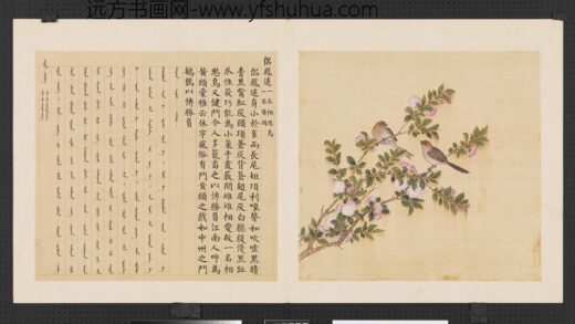鸟谱（三）册侣凤逑.jpg