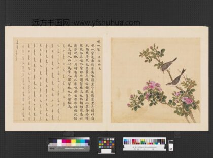 鸟谱（三）册嗝叭嘴.jpg