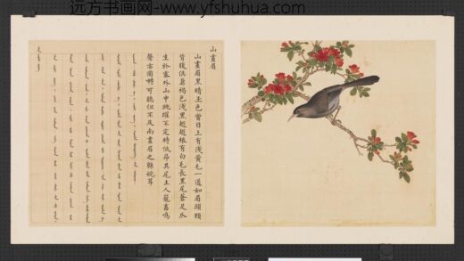 鸟谱（三）册山画眉.jpg
