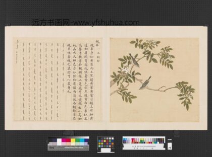 鸟谱（三）册槐串.jpg
