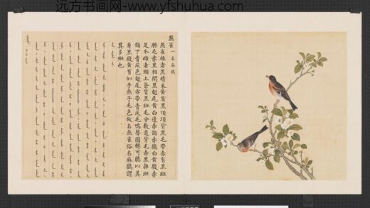 鸟谱（三）册燕雀.jpg