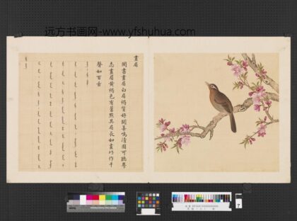 鸟谱（三）册画眉.jpg