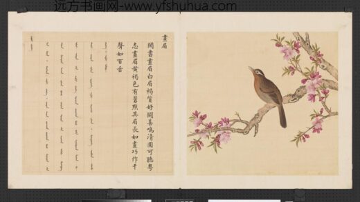 鸟谱（三）册画眉.jpg