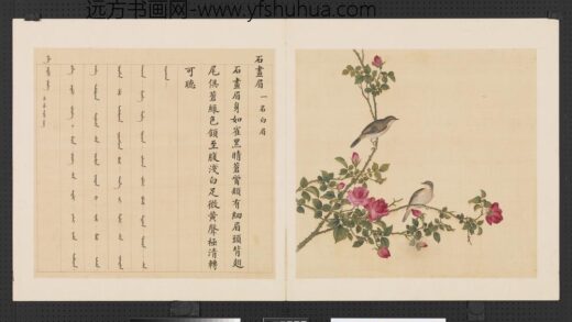 鸟谱（三）册石画眉.jpg