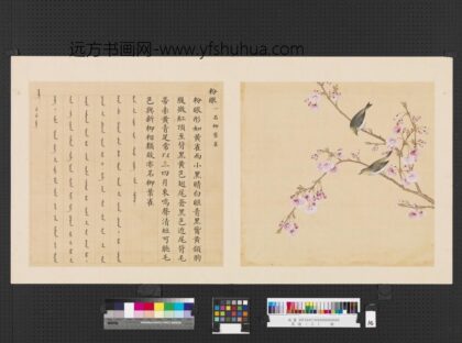 鸟谱（三）册粉眼.jpg