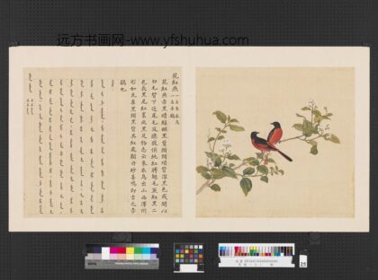 鸟谱（三）册花红燕.jpg