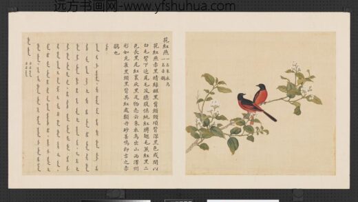 鸟谱（三）册花红燕.jpg